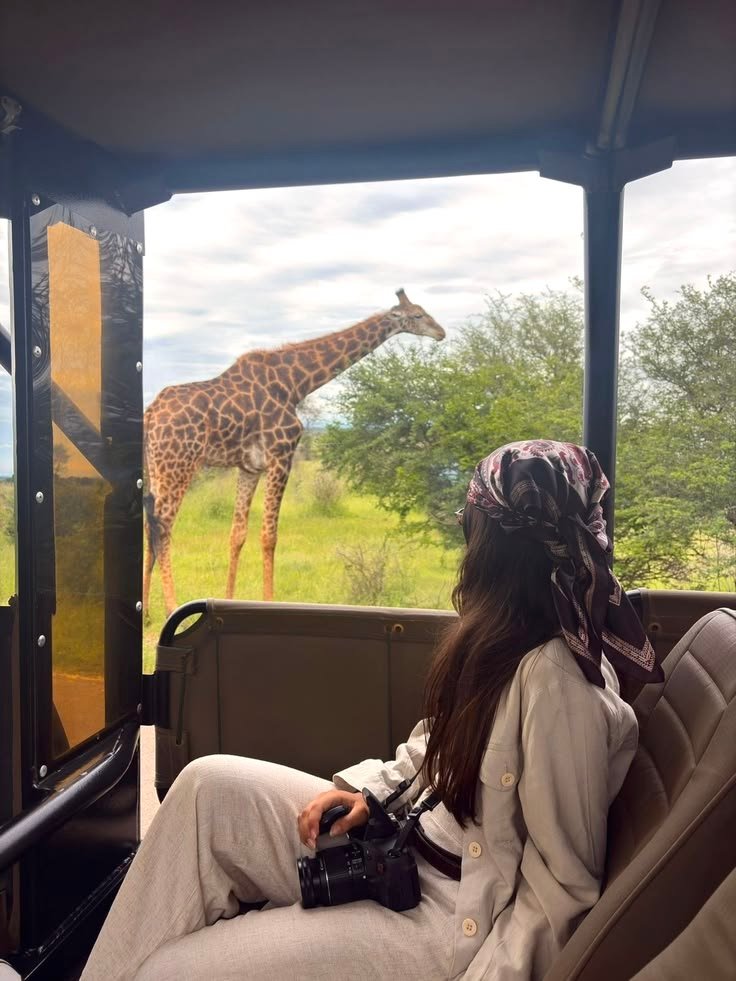 Wildlife Safaris